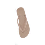 Anatomica - Imagen 3
